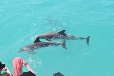 Key West dolphin watch and snorkeling sunset cruise